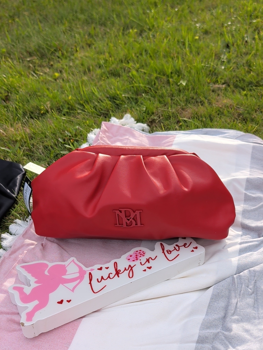 Badgley Mischka Wrapped Frame Clutch